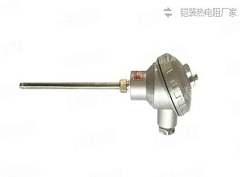 如何确定热电偶和热电阻的插入深度？